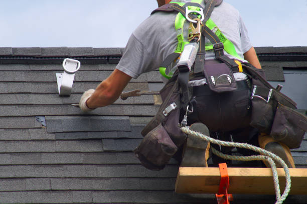 Roof Gutter Cleaning in Chico, TX
